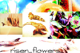 A Risen Flower: Artistic Floral Elements for Design
