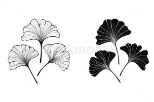 Monochrome Ginkgo Biloba Leaves: Design Assets