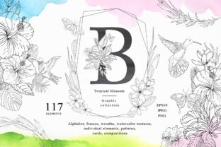 Tropical Blossom Graphic Collection: A Versatile Design Resource for Creative Projects