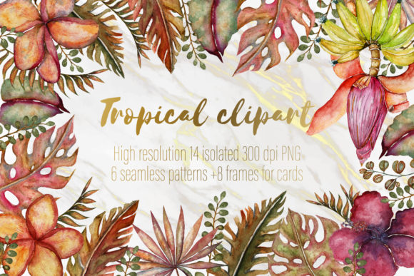 Tropical Clipart Set for Creative Design Projects
